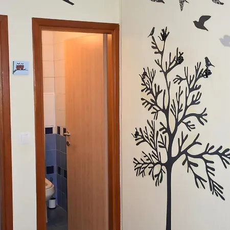 Apartman Tina 아파트 *